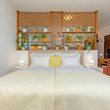 Oliva Apartment *